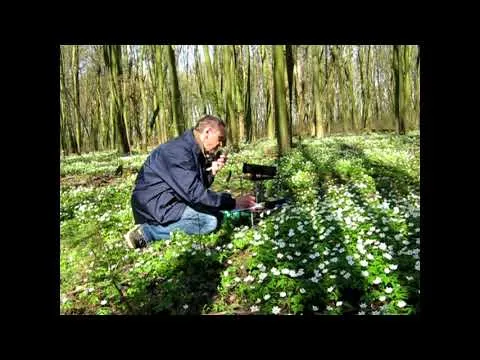 Відео на YouTube