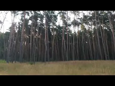 Відео на YouTube