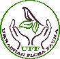 UFF Волині